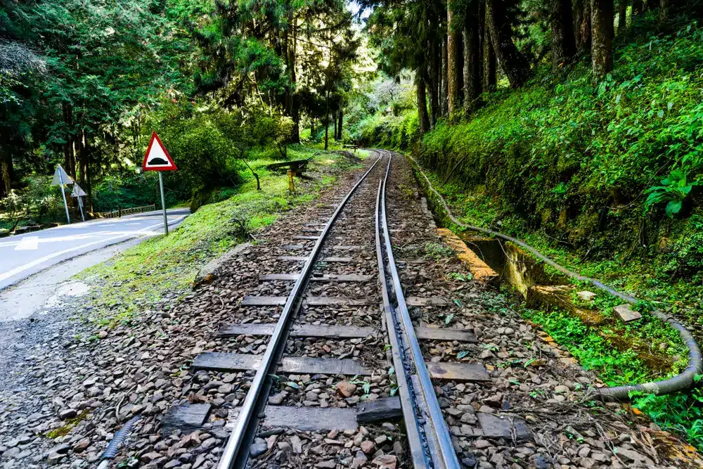 Alishan Forest railway.