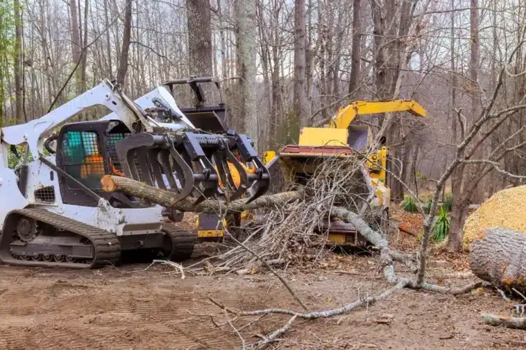 Skid steer loader machinery clears fallen branches in forest, creating paths preserving using tree grinder.