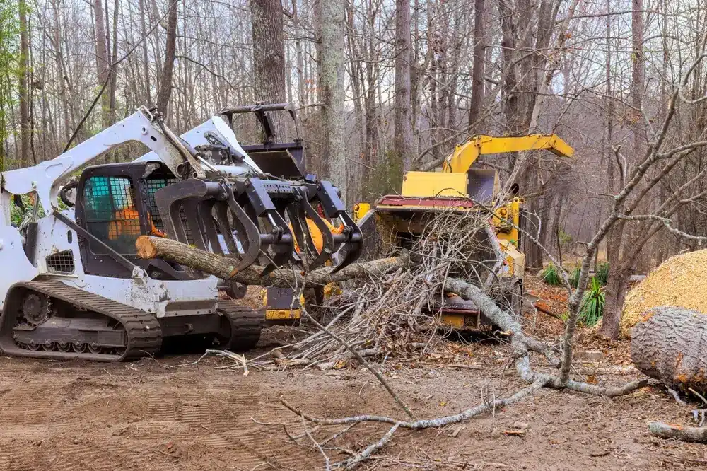 Skid steer loader machinery clears fallen branches in forest, creating paths preserving using tree grinder.