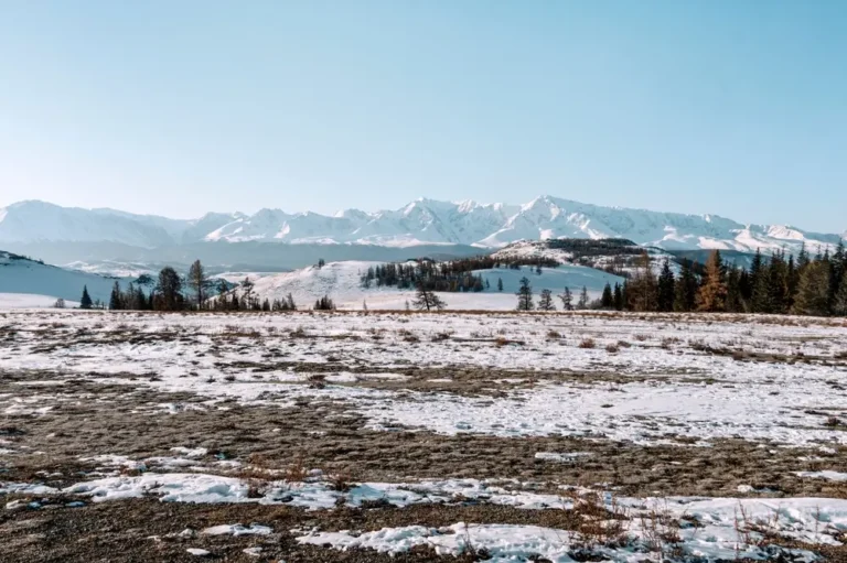 Early morning sunrise in steppes.