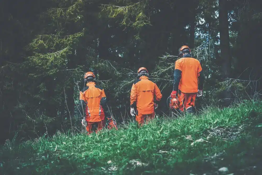 Men walking in the forest holding a chainsaw and garden tools. Lumberjacks at work wears orange personal protective equipment. Gardeners working outdoor in the forest. Security forestry worker concept.